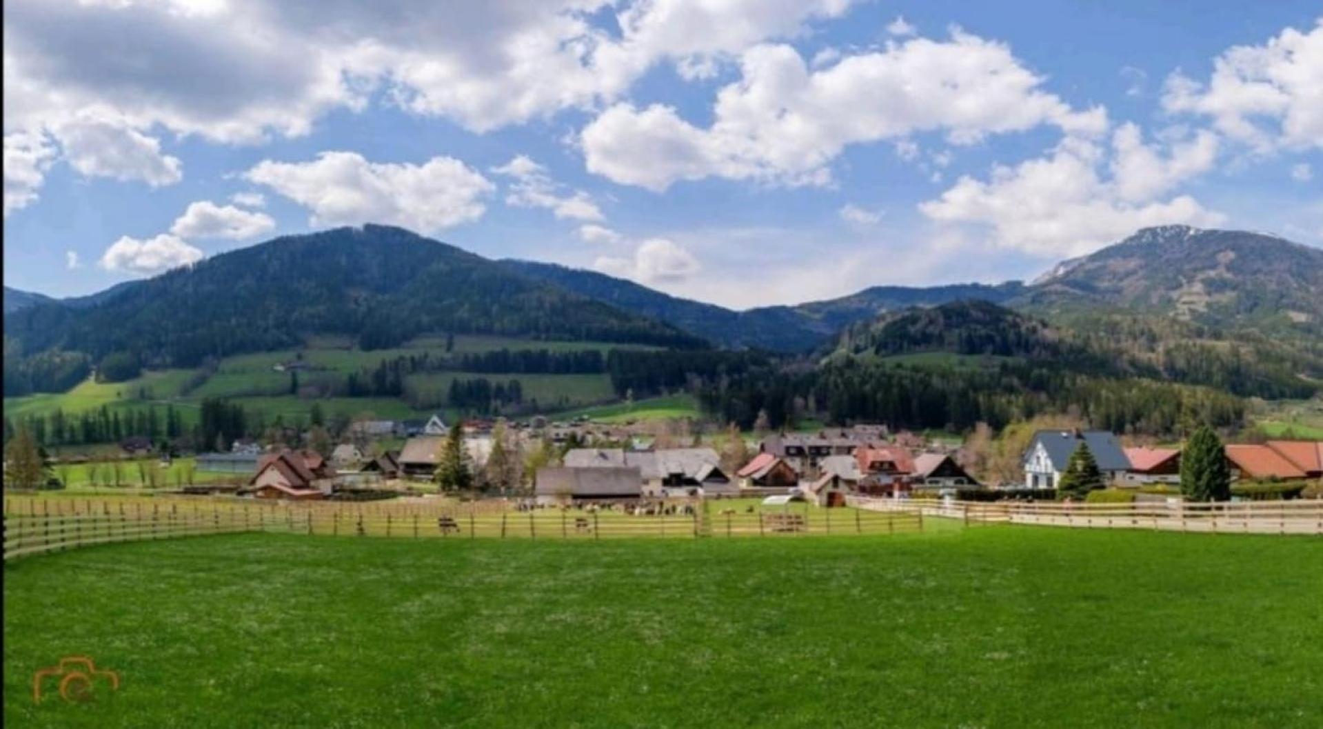 Alpakas, Lamas Und Rentiere Zum Gruenen See Villa Grossdorf  Exterior photo