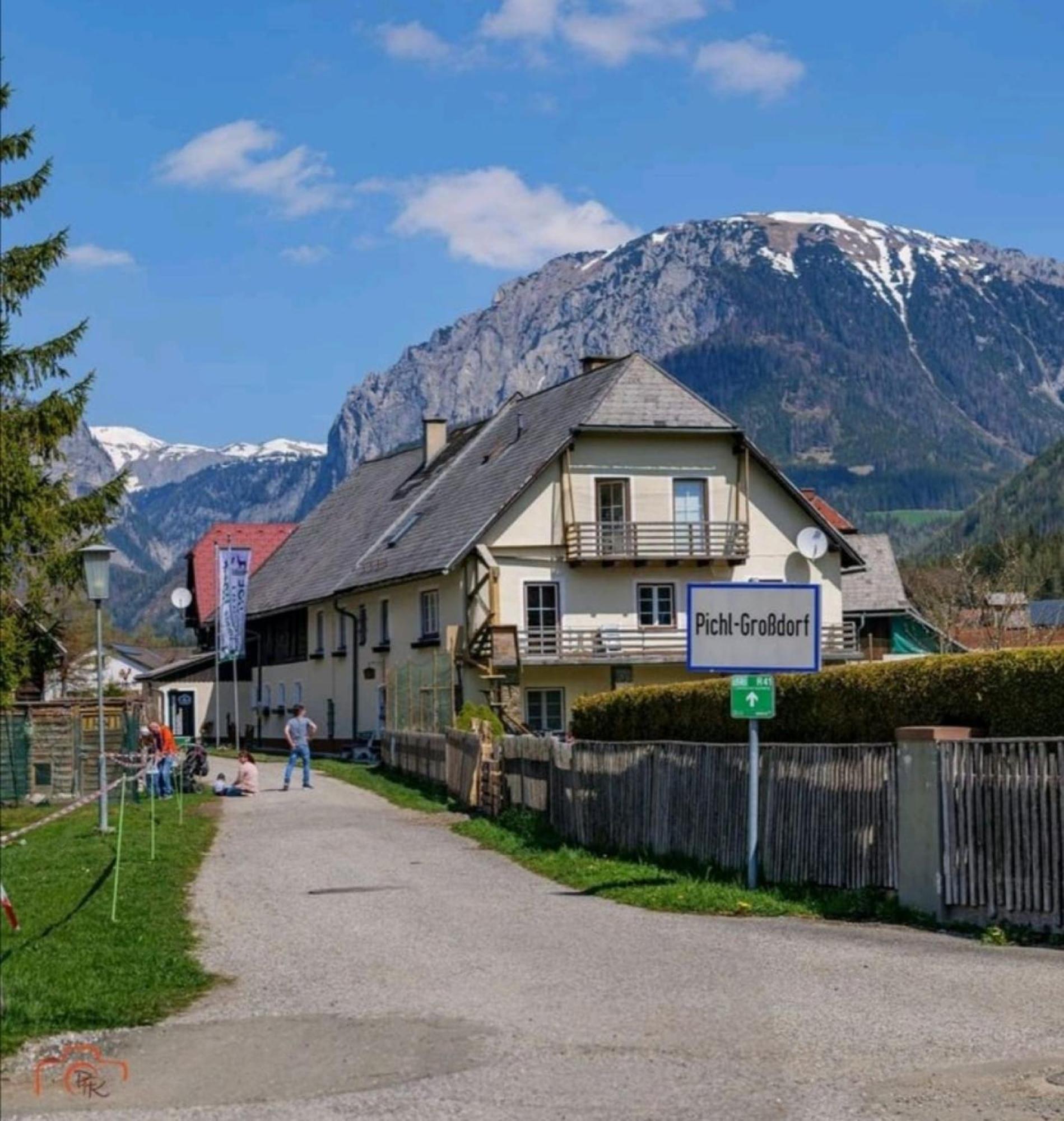 Alpakas, Lamas Und Rentiere Zum Gruenen See Grossdorf  Exterior photo