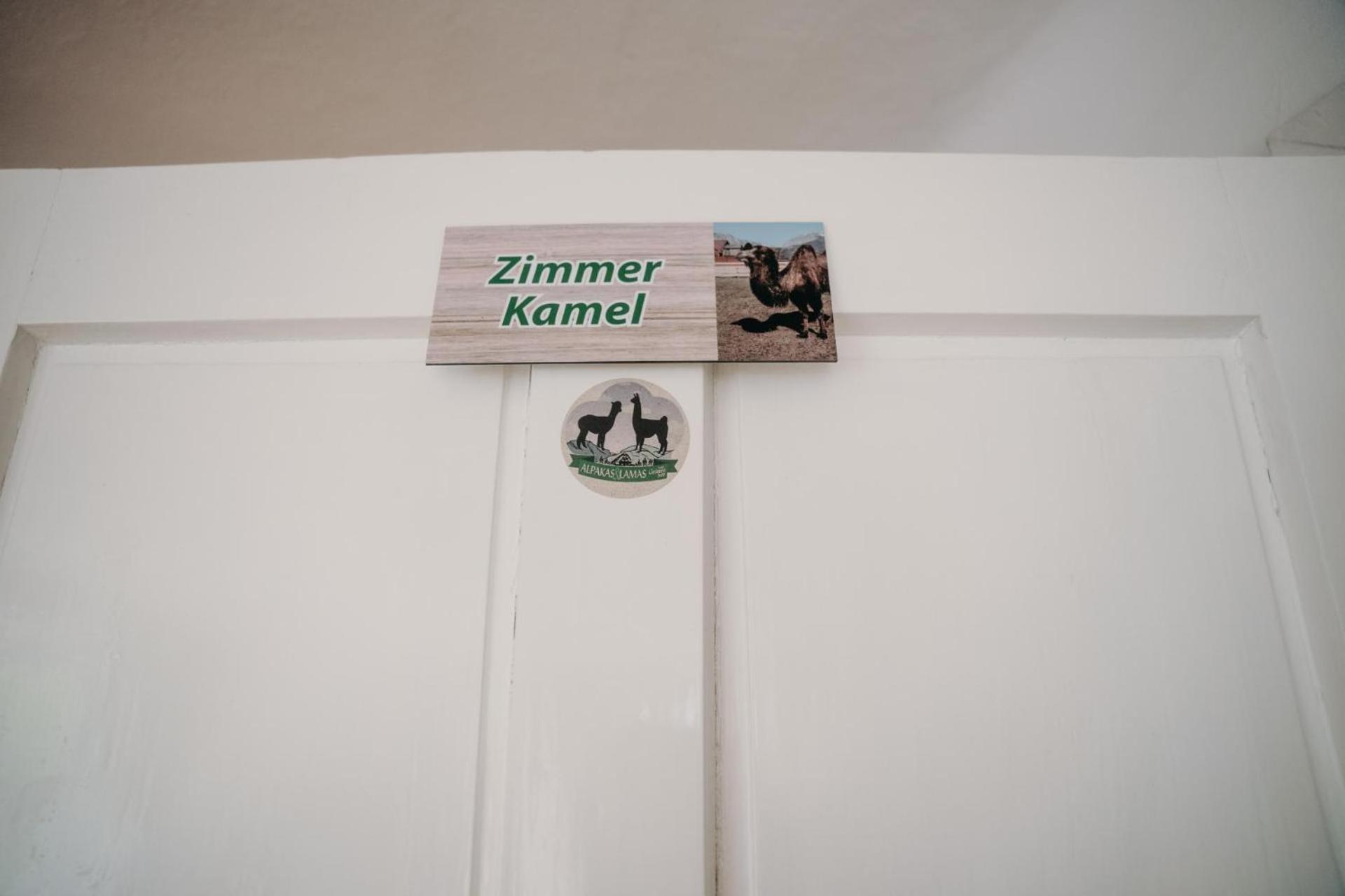 Alpakas, Lamas Und Rentiere Zum Gruenen See Grossdorf  Exterior photo