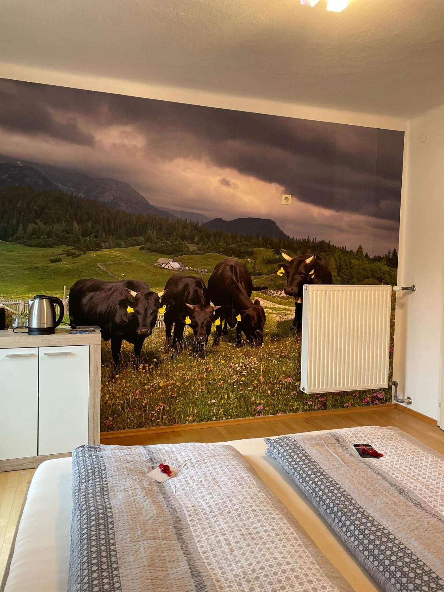 Alpakas, Lamas Und Rentiere Zum Gruenen See Grossdorf  Exterior photo